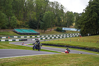 Middle Group Black Bikes
